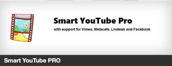 wordpress plugins for video bloggers