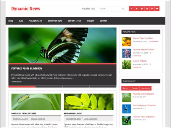 Dynamic News Theme