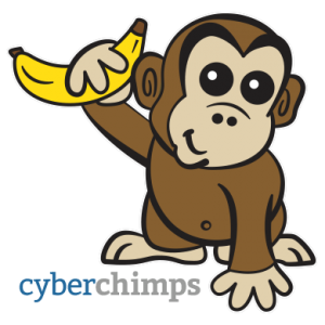 best WordPress companies-Cyberchimps