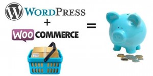 WooCommerce Plugin Minimum Viable Product using WordPress