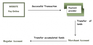 Indian Payment Gateways